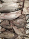 Market traditional fish bawal bandeng Royalty Free Stock Photo