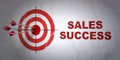 Marketing concept: target and Sales Success on wall background