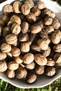 Marketplace raw produce in the sun during summer or autumn time. Macro or detail shot, view from above Royalty Free Stock Photo