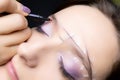 Marking and architecture of the eyebrows the master outlines the points along the contour of the eyebrow with a red marker