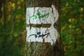 Marking of designated nordic walking trails. A white arrow sign with the mark of a person with poles. Royalty Free Stock Photo