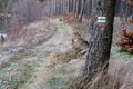 Marking of the tourist route. A tourist road sign on the bark of Royalty Free Stock Photo