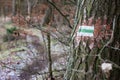 Marking of the tourist route. A tourist road sign on the bark of Royalty Free Stock Photo