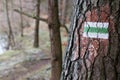 Marking of the tourist route. A tourist road sign on the bark of Royalty Free Stock Photo