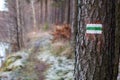 Marking of the tourist route. A tourist road sign on the bark of Royalty Free Stock Photo