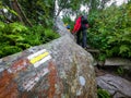 Marking of the tourist trail in yellow, painted on the rock. Marking will lead us to our destination without wandering along the