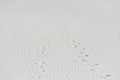 Marks and a footprints on white sand Royalty Free Stock Photo