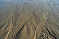 Marks on the sand of the beach left at low tide