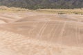 Marks of sand boarding near Medano Creek