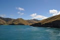 Marlborough Sounds, New Zealand Royalty Free Stock Photo