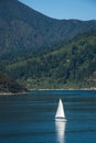 Marlborough Sounds seen from ferry from Wellington to Picton, New Zealand