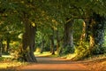 Marley Park in Dublin Royalty Free Stock Photo