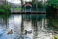 Marley Park in South Dublin Ireland Royalty Free Stock Photo