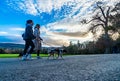 Marley Park in South Dublin Ireland Royalty Free Stock Photo