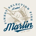 Marlin fish emblem colorful vintage
