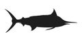 Marlin sea fish graphic icon