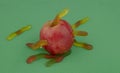 Marmalade `worms` come out of a red Apple.Children`s sweets in the shape of worms.Green background.