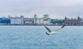 Marmara Sea and Haydarpasa port district Asian coast Istanbul city Turkey