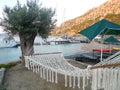 Marmaris, Turkey, Hisaronu, olive trees, a wonderful holiday region
