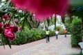 Marmaris, Turkey - May 25, 2018: Walking path in the Park and bicyclists on it in a summer day