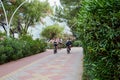 Marmaris, Turkey - May 25, 2018: Walking path in the Park and bicyclists on it in a summer day
