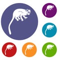 Marmoset monkey icons set