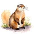 Marmot in cartoon style. Cute Little Cartoon Marmot isolated on white background. Watercolor drawing, hand-drawn Marmot in