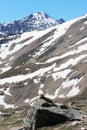 Marmot in Jasper National Park in the Canadian Rockies Royalty Free Stock Photo