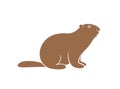 Marmot logo. Isolated marmot on white background
