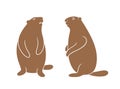 Marmot logo. Isolated marmot on white background