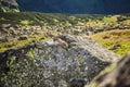 .Marmot sitting on the rock in the mountains. Alpine style landspace with wild whistler on the stone in the summer