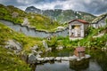 Marmots held in captivity in small reservation on top of Grimselpass high mountain pass Royalty Free Stock Photo