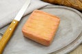 Maroilles cheese Royalty Free Stock Photo