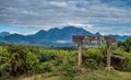 Marojejy park view under the clouds Royalty Free Stock Photo