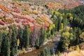 Aspen Colorado in early Autumn time. Royalty Free Stock Photo