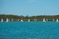 Maroochydore, Qld, Australia - March 10, 2019: Children learning how to sail.