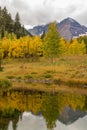 Maroon Bells Autumn Reflection Royalty Free Stock Photo