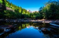 Maroon Bells Reflections in Pond Aspen Colorado Sunrise at The Maroon Bells Royalty Free Stock Photo