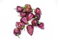 Maroon indian chilli spice