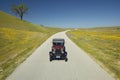 A maroon Model T driving down a scenic road surrounded by spring flowers off of Route 58, Shell Road, CA