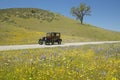 A maroon Model T driving down a scenic road surrounded by spring flowers off of Route 58, Shell Road, CA