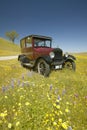 A maroon Model T driving down a scenic road surrounded by spring flowers off of Route 58, Shell Road, CA