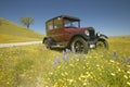 A maroon Model T driving down a scenic road surrounded by spring flowers off of Route 58, Shell Road, CA