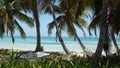 Marooned on a Caribbean beach Royalty Free Stock Photo