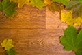 Marple leaves frame on wooden texture