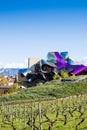 Marques de riscal Royalty Free Stock Photo