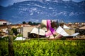 Bodega winery Marques de Riscal, Rioja, Spain Royalty Free Stock Photo