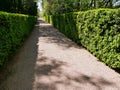 Marqueyssac pruned boxwood gardens in Vezac in the Dordogne Royalty Free Stock Photo