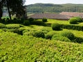 Marqueyssac pruned boxwood gardens in Vezac in the Dordogne Royalty Free Stock Photo