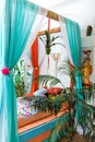 Marrakech bedroom in bright colors with home plants